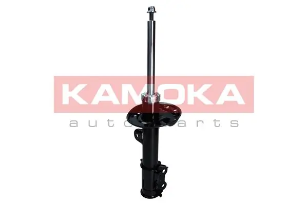 Shock Absorber 2000529