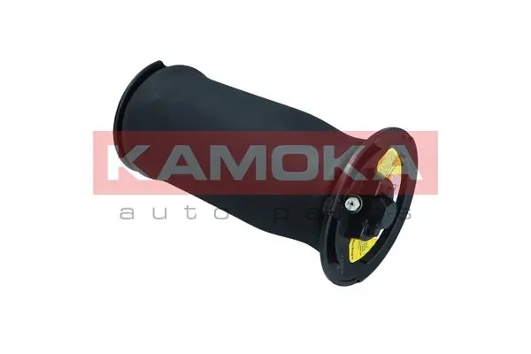 Air Spring, suspension 2079016