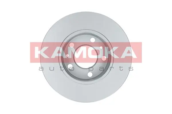 Brake Disc 103034
