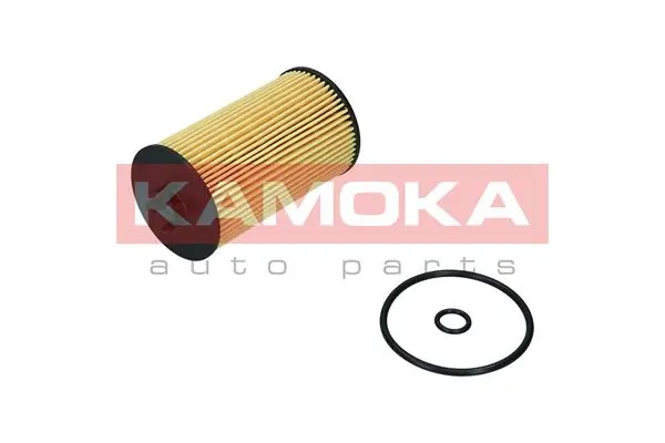 Oil Filter F119701