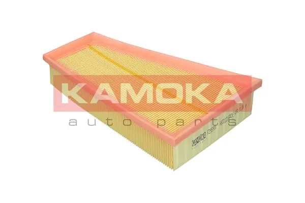 Air Filter F255901