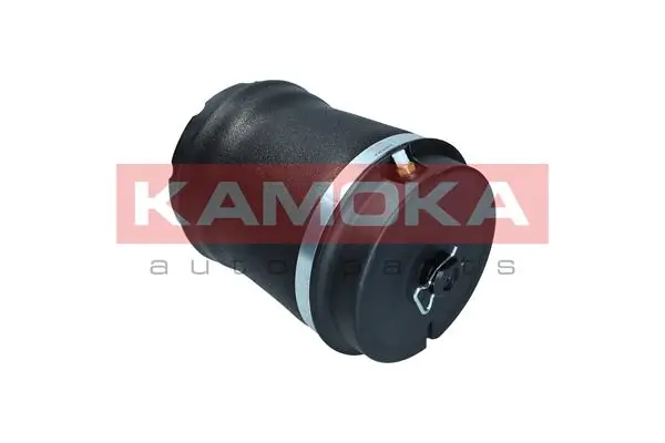 Air Spring, suspension 2079032