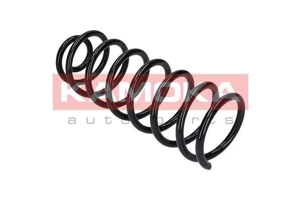 Suspension Spring 2120070