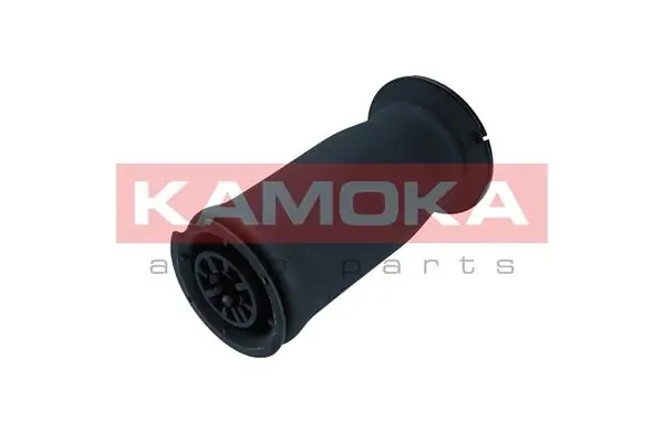 Air Spring, suspension 2079016