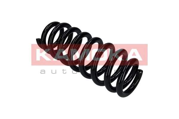 Suspension Spring 2120205