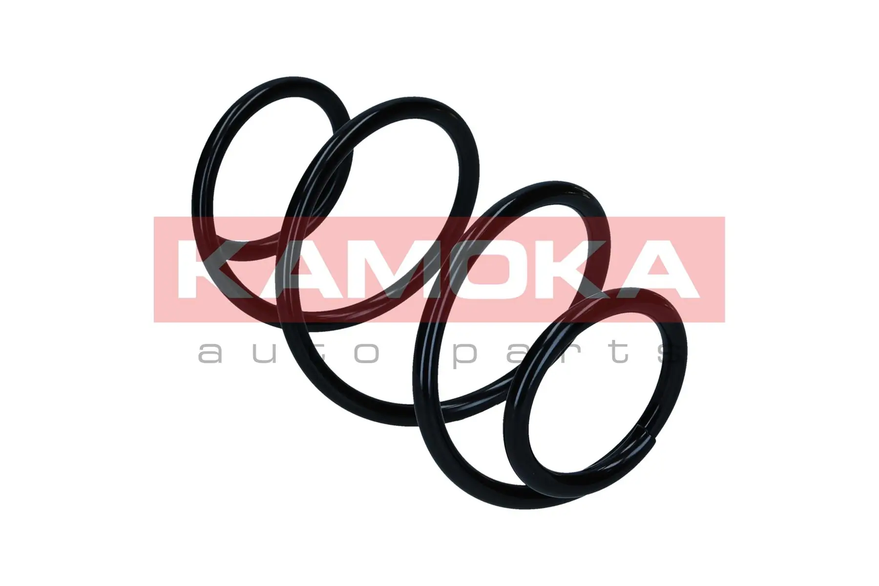 Suspension Spring 2110587