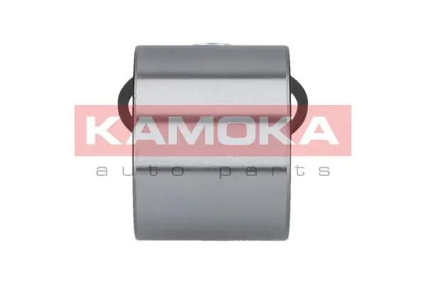 Wheel Bearing Kit 5500379