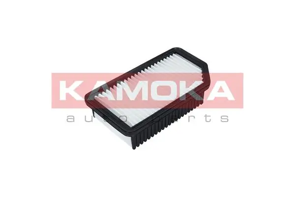 Air Filter F226201