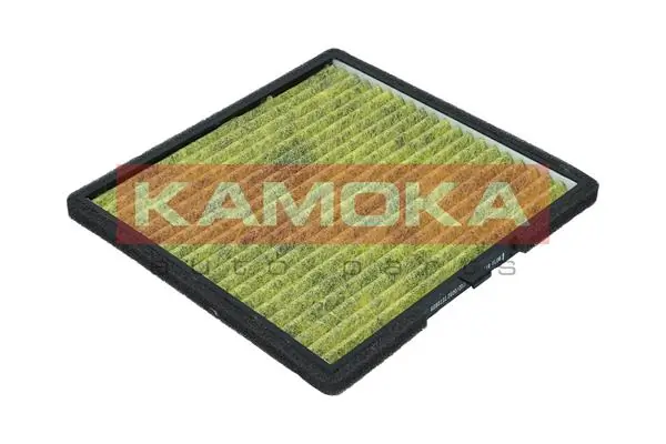 Filter, cabin air 6080131