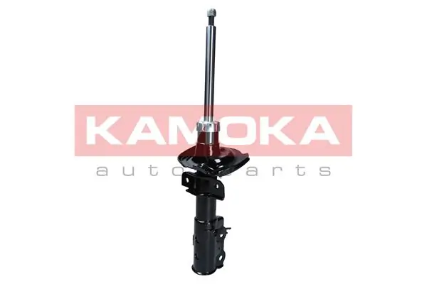 Shock Absorber 2000269