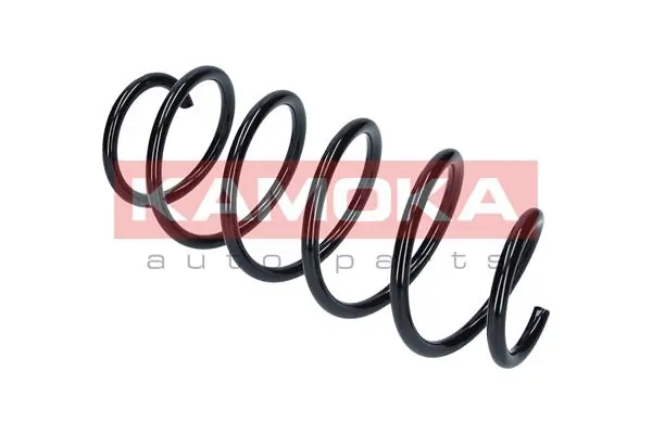 Suspension Spring 2110330