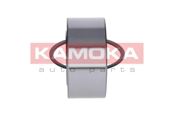 Wheel Bearing Kit 5500317