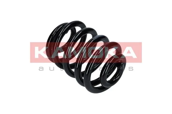 Suspension Spring 2120286