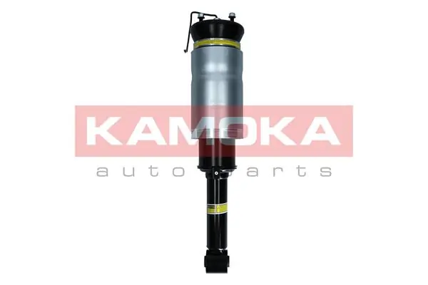 Air Suspension Strut 2070024