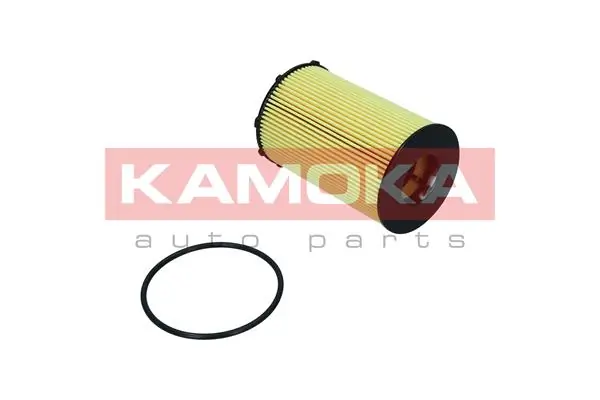 Oil Filter F117701