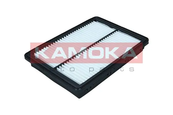 Air Filter F244501