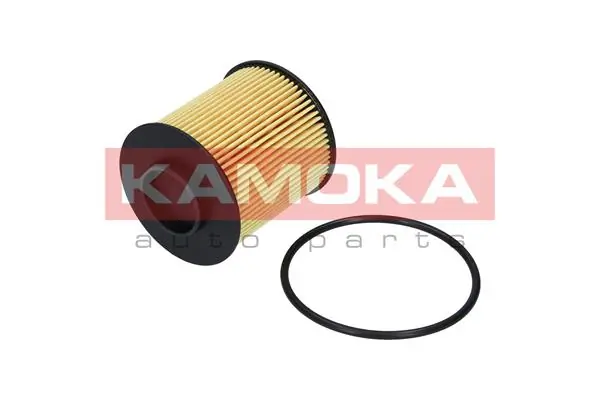 Oil Filter F111801