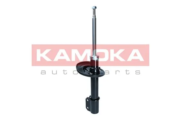 Shock Absorber 2001181