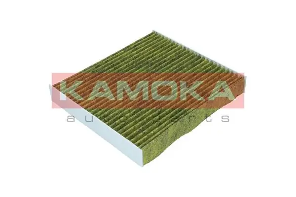 Filter, cabin air 6080072