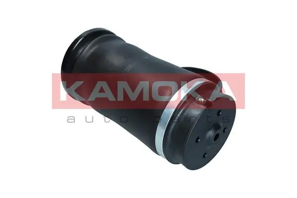 Air Spring, suspension 2079045