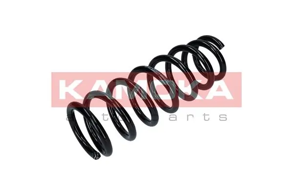 Suspension Spring 2120281