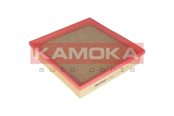 Air Filter F224801