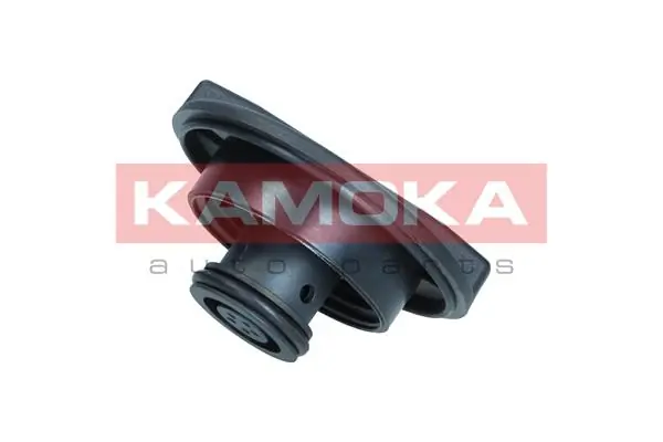 Cap, coolant tank 7729020