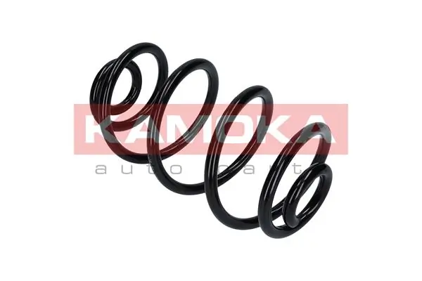 Suspension Spring 2120186