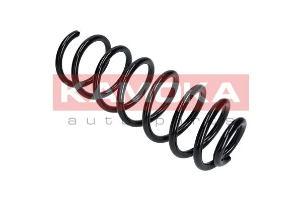 Suspension Spring 2120298