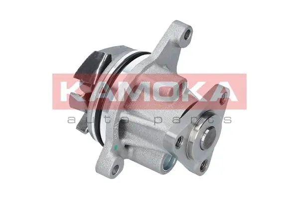 Water Pump, engine cooling T0122