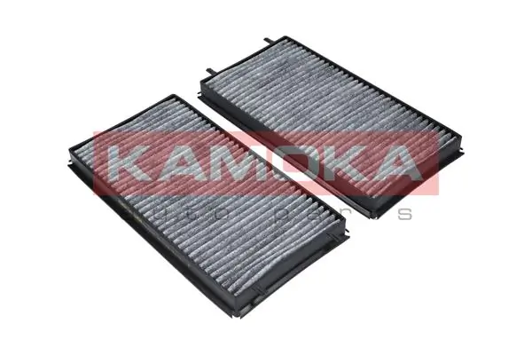 Filter, cabin air F505601