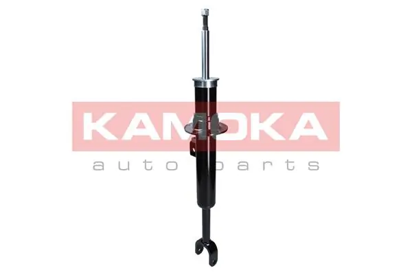 Shock Absorber 2000656