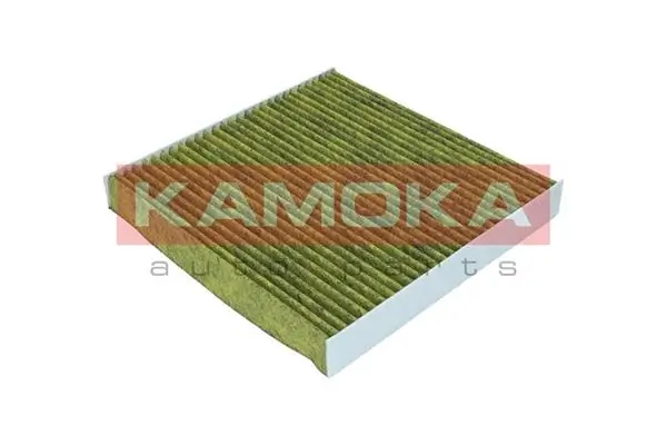 Filter, cabin air 6080087