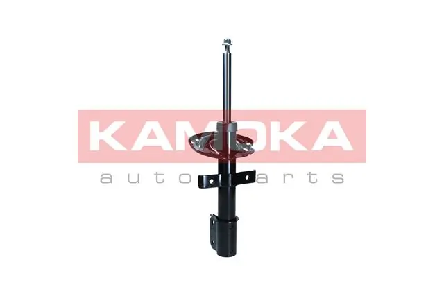 Shock Absorber 2000159
