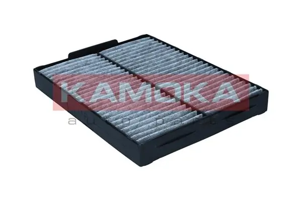 Filter, cabin air F525801