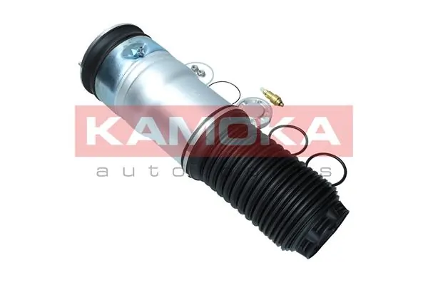 Air Spring, suspension 2079020
