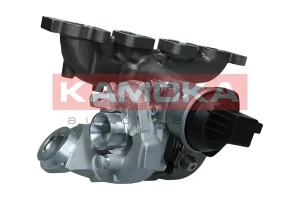 Charger, charging (supercharged/turbocharged) 8600009