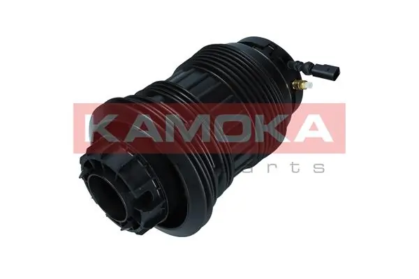 Air Spring, suspension 2079065