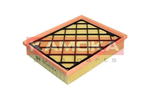Air Filter F251301