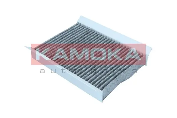 Filter, cabin air F512801