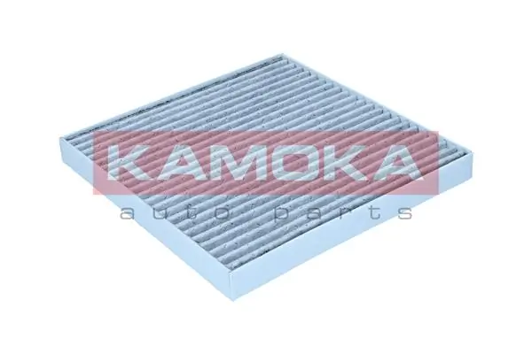 Filter, cabin air F524801