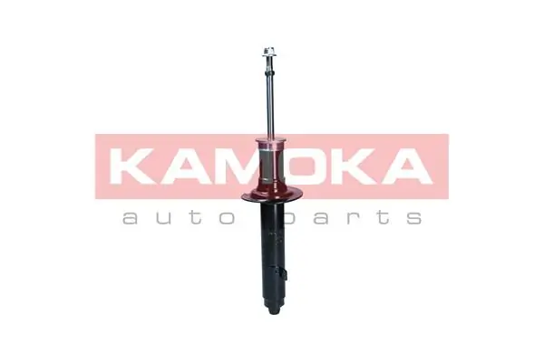 Shock Absorber 2001132