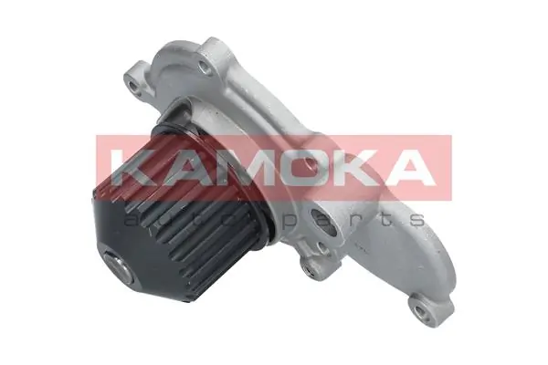 Water Pump, engine cooling T0075
