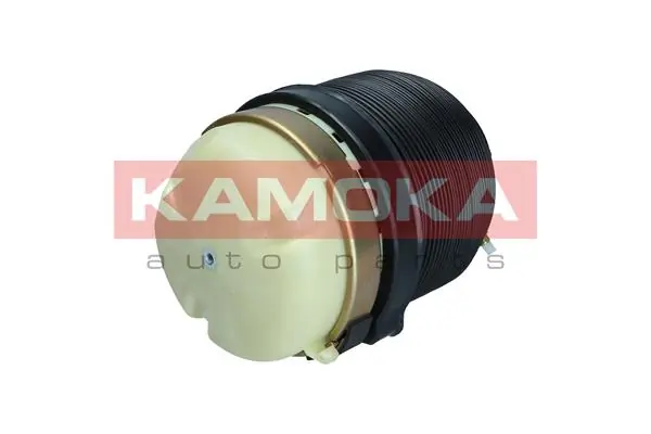 Air Spring, suspension 2079002