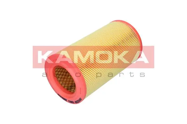 Air Filter F259501