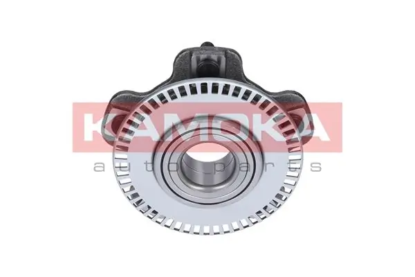 Wheel Bearing Kit 5500050