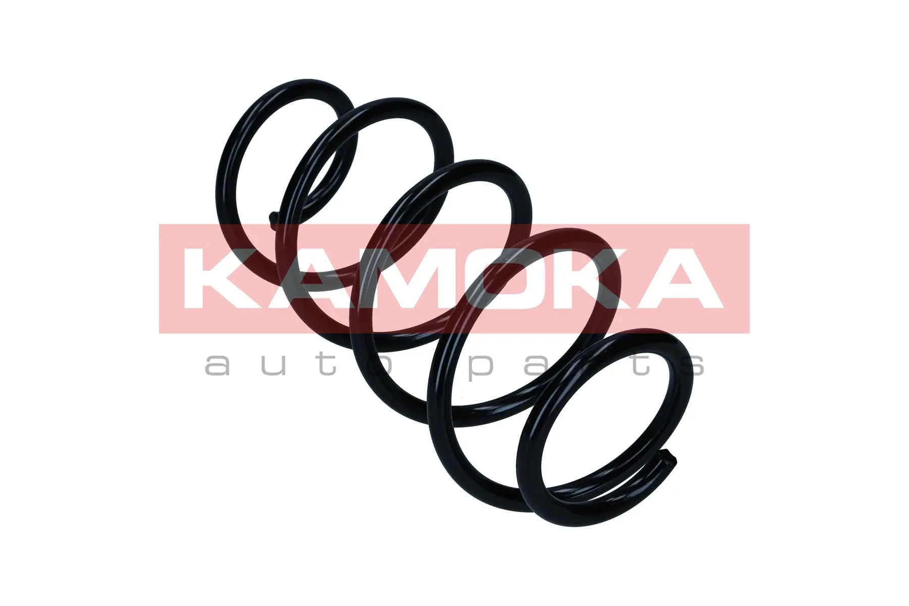 Suspension Spring 2110818