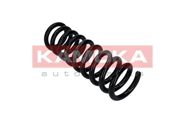 Suspension Spring 2110296