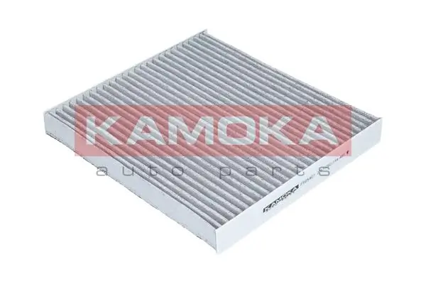 Filter, cabin air F505401