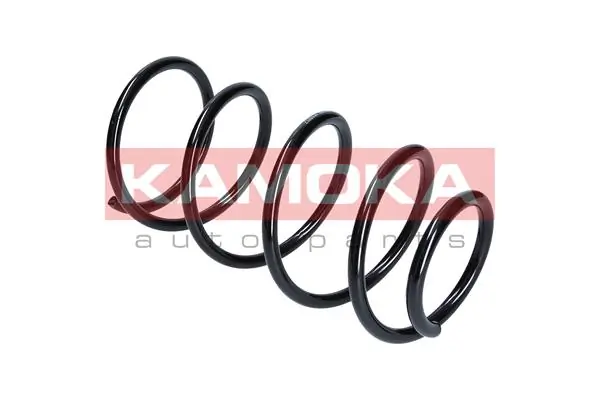 Suspension Spring 2110173